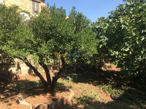 Vente Appartement F3 Bejaia Akbou