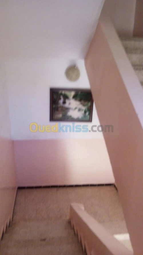 Vente Villa Alger Birkhadem