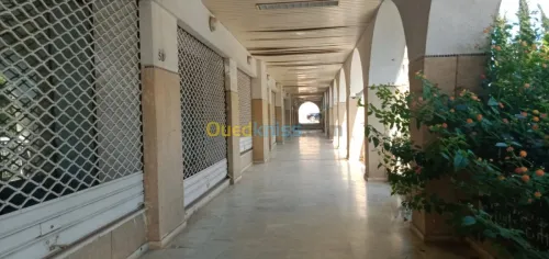Vente Duplex F7 Alger El achour