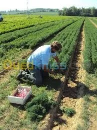 أقوى دورة تطبيقية تدريبية محترفة 