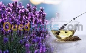 أقوى دورة تطبيقية تدريبية محترفة 