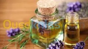 أقوى دورة تطبيقية تدريبية محترفة 