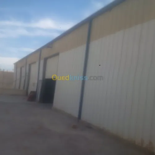 Location Hangar Ouargla Hassi messaoud