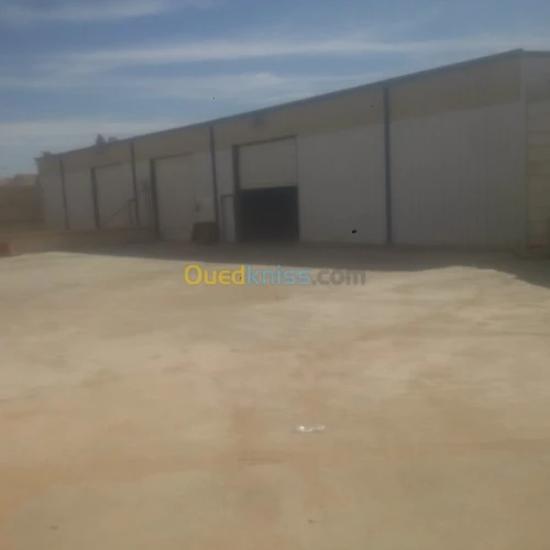 Location Hangar Ouargla Hassi messaoud