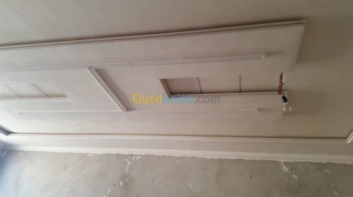 Pentr et placoplatre