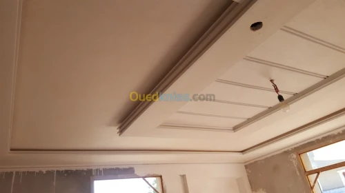 Pentr et placoplatre