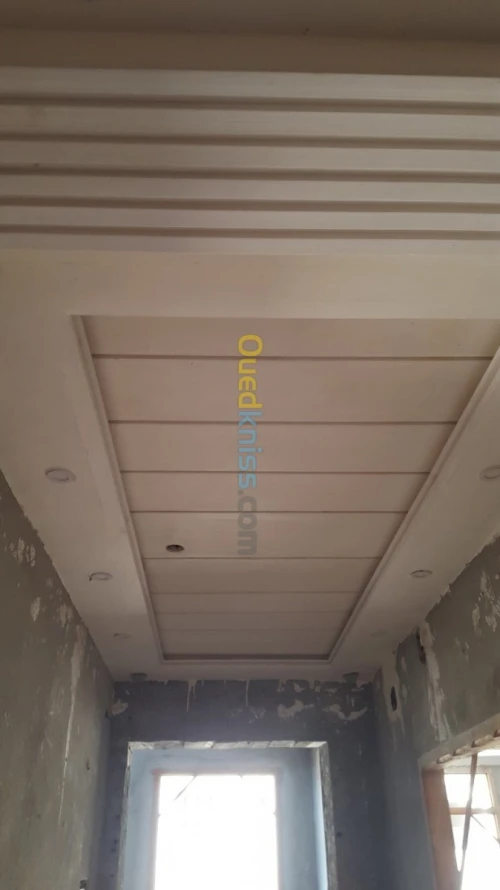 Pentr et placoplatre