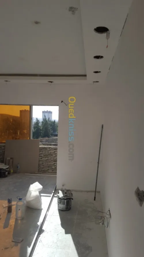 Pentr et placoplatre