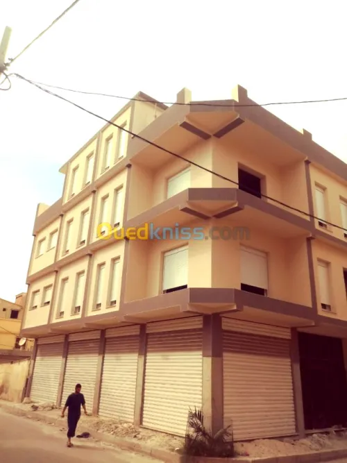 Monocouche façade  finition