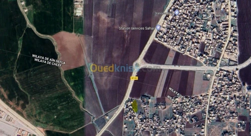 Vente Terrain Ain defla El attaf