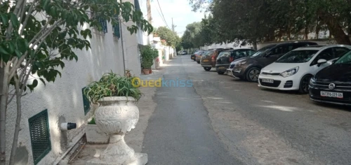 Location Appartement F3 Alger El biar