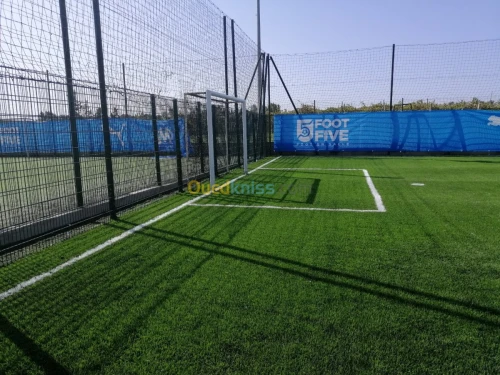 Gazon décoratif et sportif