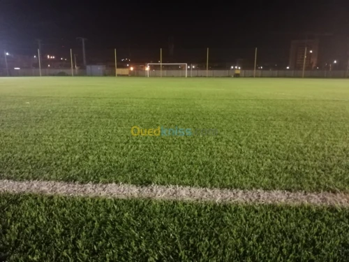 Gazon décoratif et sportif