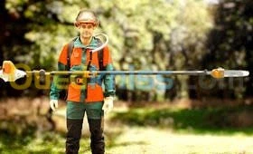 Perche élagueuse Stihl HT75 