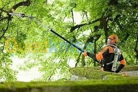 Perche élagueuse Stihl HT75