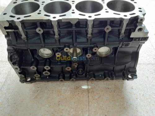 BLOC MOTEUR GREAT WALL WINGLE 2.5 TCI