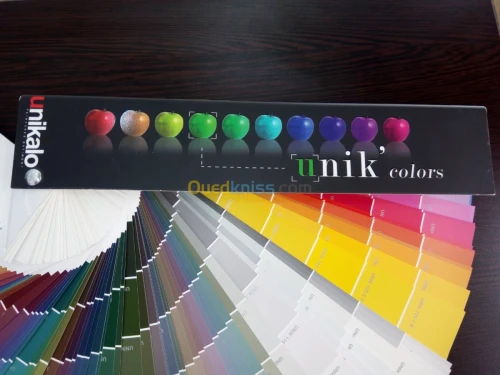 Peinture Batiment et carrossier 
