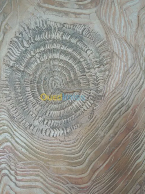 Peinture Batiment et carrossier 
