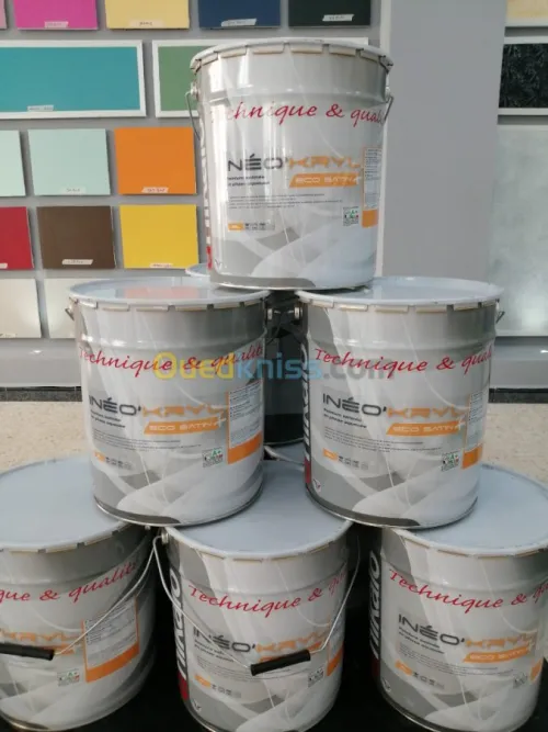 Peinture Batiment et carrossier 