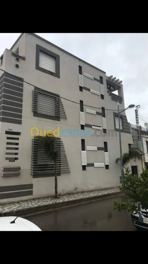 Platre & Monocouche &  grifier