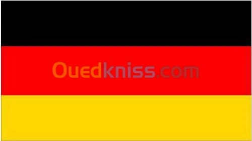 Cours de soutien allemand 