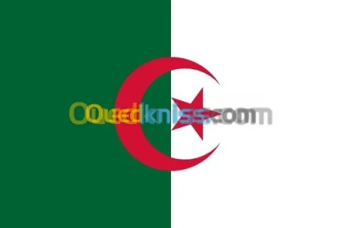 صناعة وبيع علم وطني 