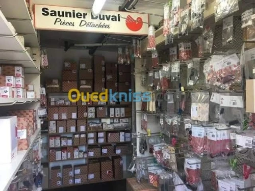 Saunier duval a domicile 