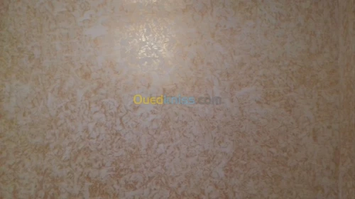 صباغ سباغ  peintre decoration