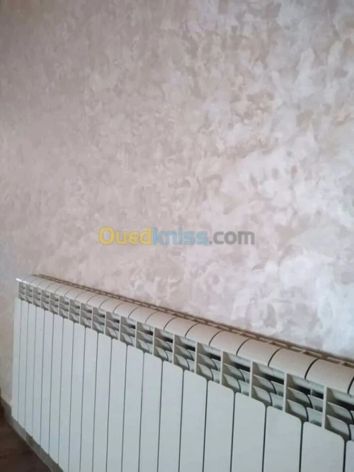 صباغ سباغ  peintre decoration