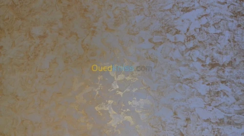 صباغ سباغ  peintre decoration