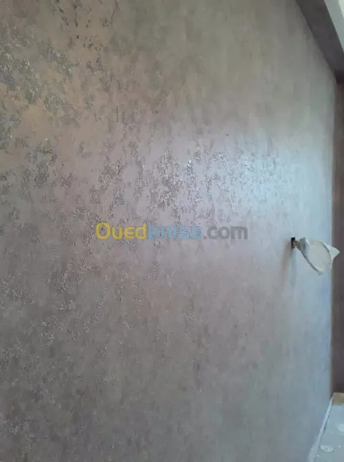 صباغ سباغ  peintre decoration