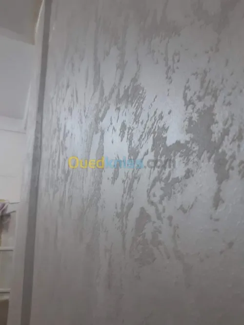 صباغ سباغ  peintre decoration