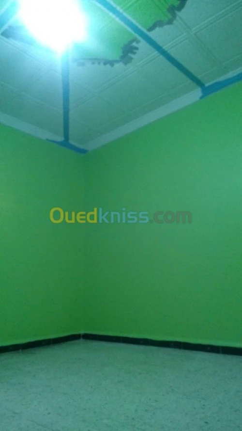 Placo paltre et peinture