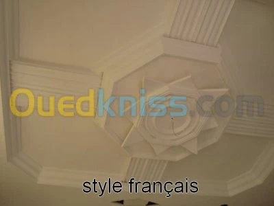PLATRIER  PLACO (PVC)