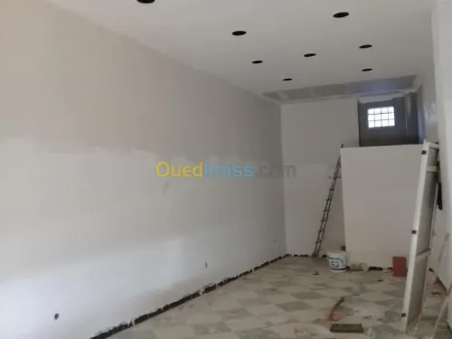 peintre ( simple et décorative)