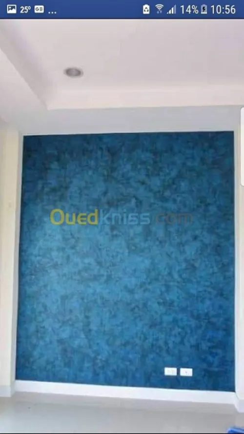 peintre ( simple et décorative)