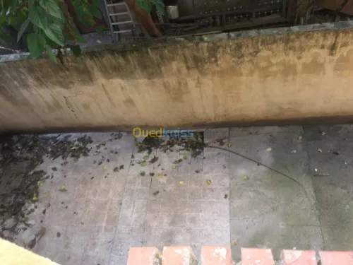 Location Niveau De Villa F4 Alger Cheraga