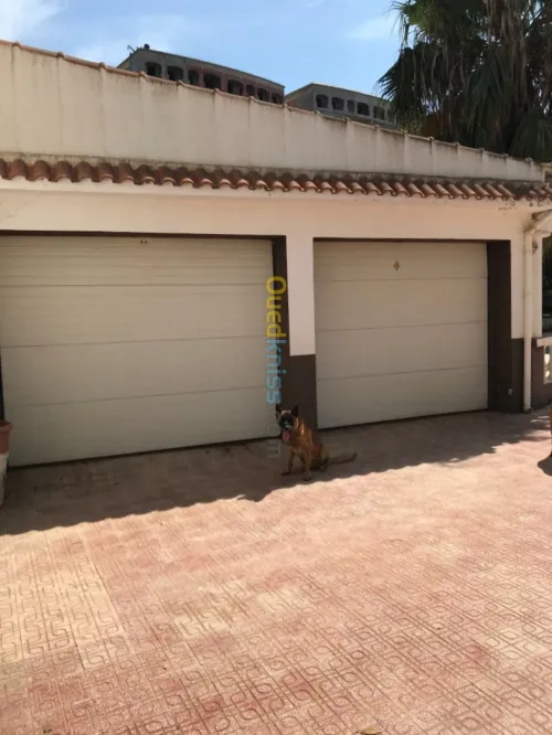 Vente Villa Alger Birkhadem