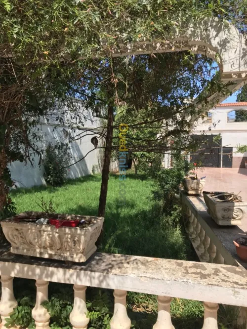 Vente Villa Alger Birkhadem
