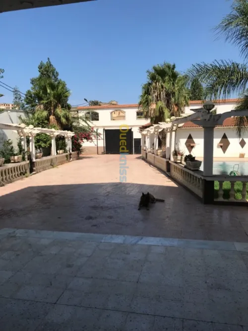Vente Villa Alger Birkhadem
