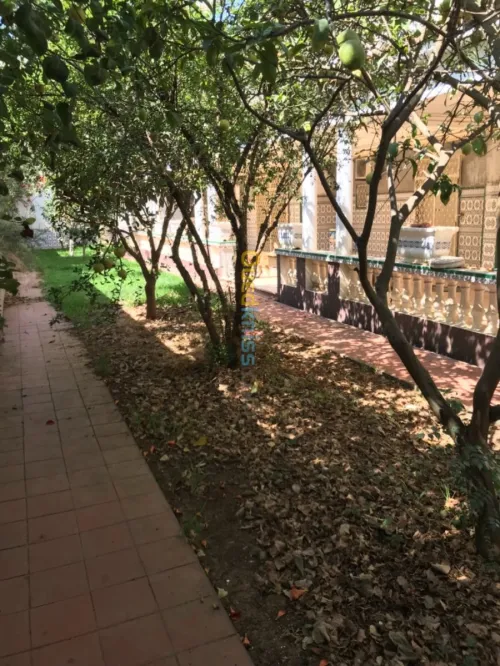 Vente Villa Alger Birkhadem