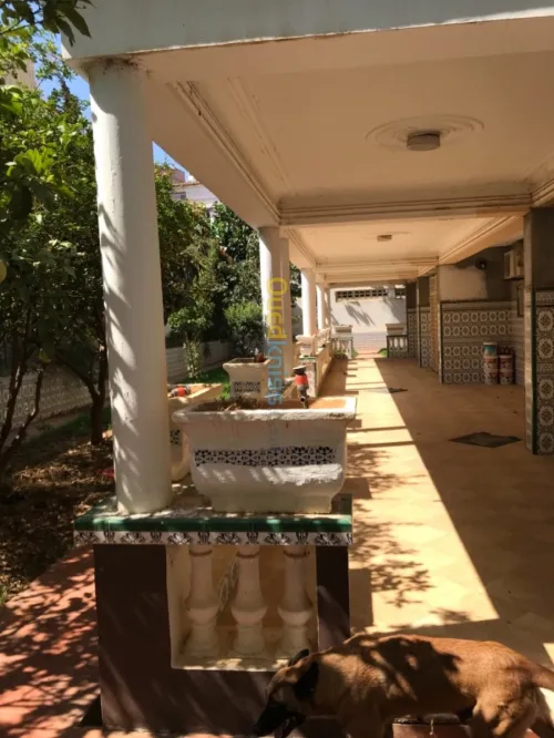 Vente Villa Alger Birkhadem