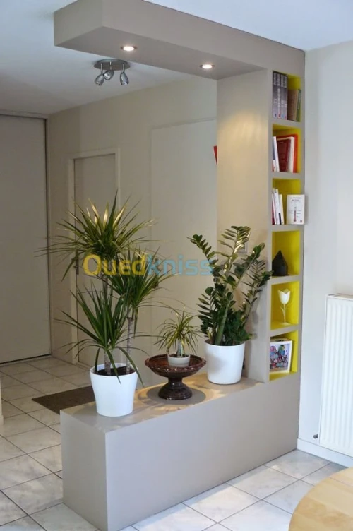 placoplatre بلاكوبلاتر decoration  