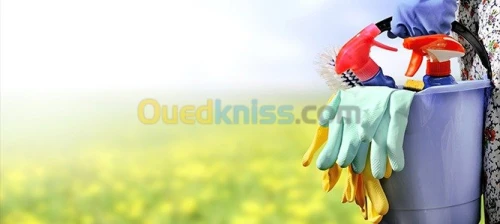  تنظيف العمارات المنزلية