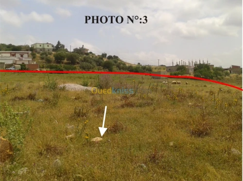 Vente Terrain Mila Terrai bainem