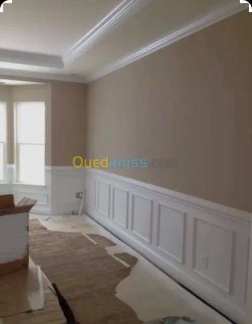 Placoplatre peinture et pvc