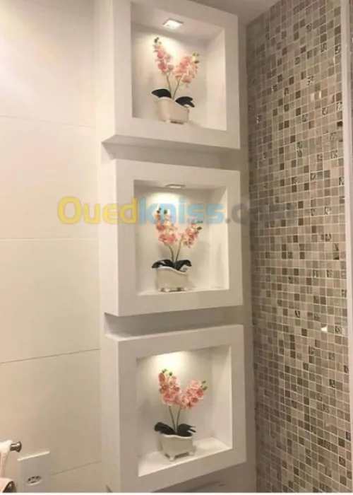 Placoplatre peinture et pvc