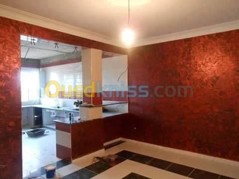  Déco peintre avec  pestoli airless