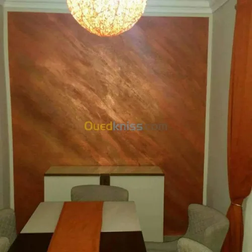  Déco peintre avec  pestoli airless