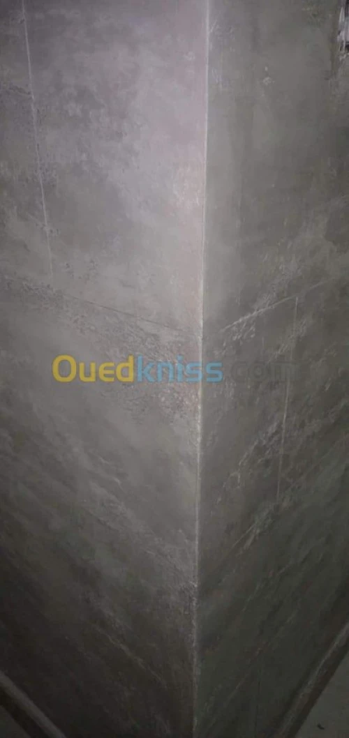  Déco peintre avec  pestoli airless